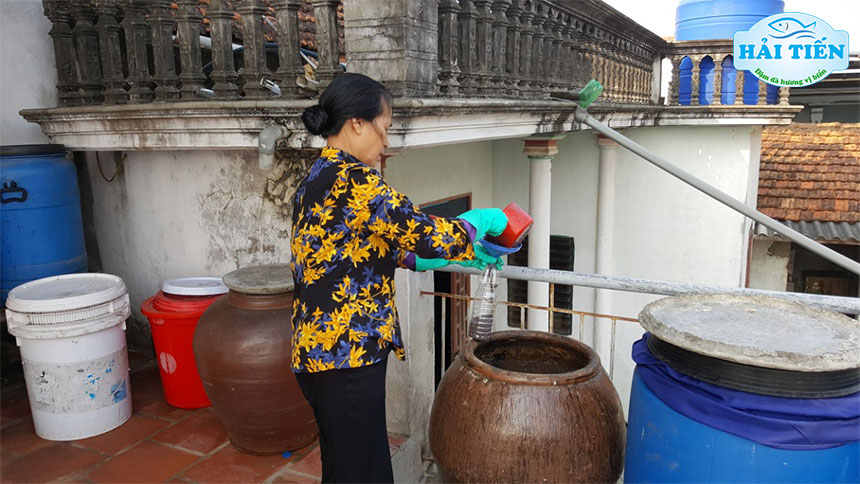 Mắm tôm Bắc: Cách làm mắm tôm miền Bắc ngon nhất Việt Nam